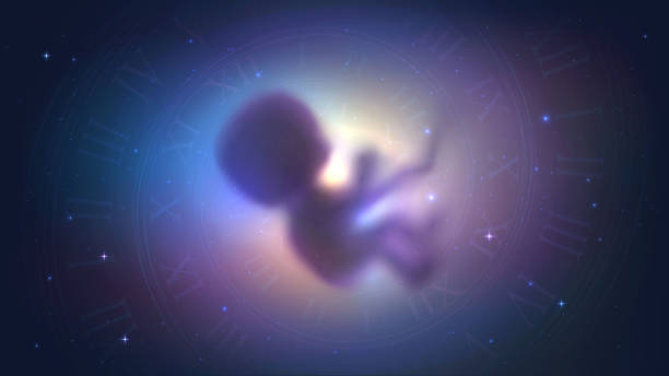 How to Break the Cycle of Rebirth and Cultivate Spiritual Growth