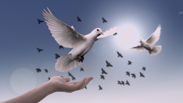 How to Earn Grace in a Materialistic World