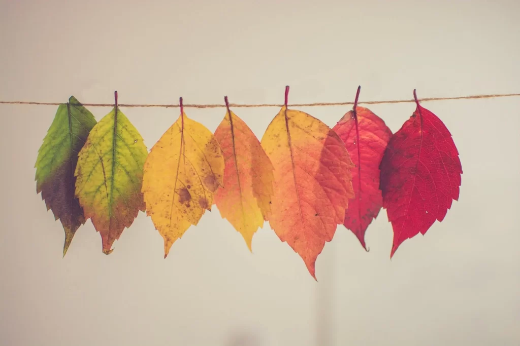 How can we achieve inner harmony and lasting well-being in a fast-paced world?