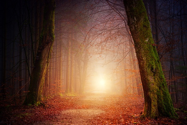 How to Adopt a Divine Path and Discover Your Inside Vitality