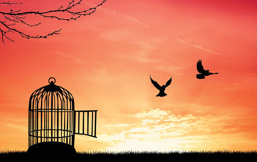 Is Mukthi attainable by all living beings? Let's investigate the way to freedom
