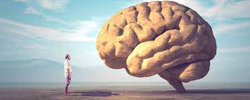 Can we Foster Moral Development by Embracing Generosity and Intellect?