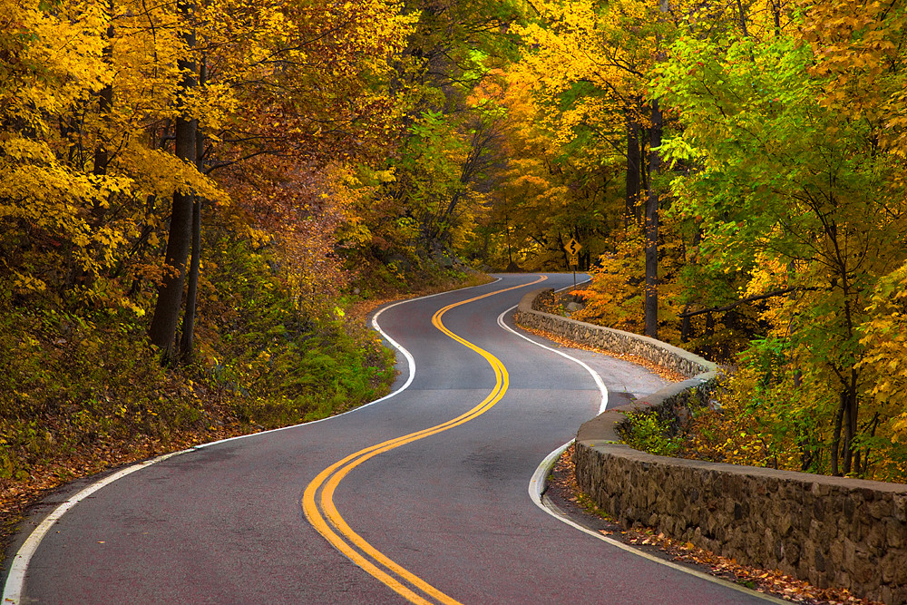 Can you Transform Life's Journey from Fear to Wisdom?