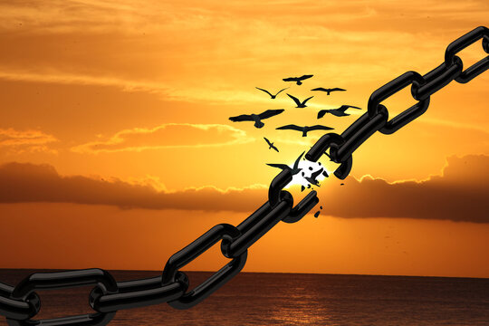 How Can Embracing the Deeper Purpose of Our Bodies Lead to Liberation?