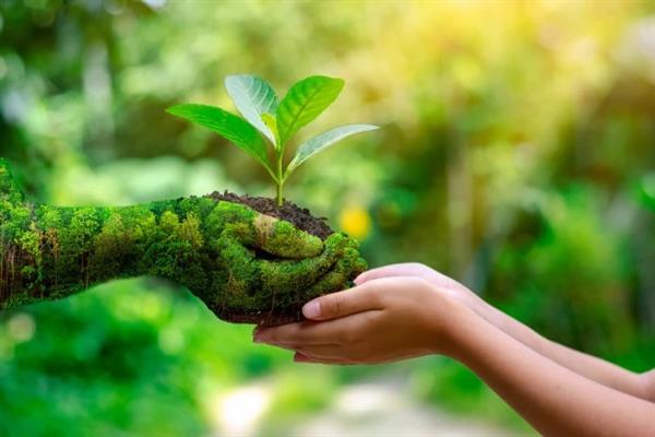 How to Preserve Nature: Our Sacred Responsibility?