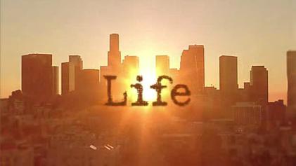 Is Compassion the Key to a More Fulfilling Life and a Better World?