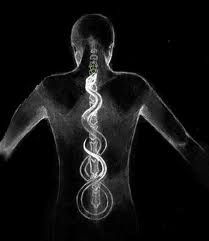 What does a straight spinal cord signify in 'Journey Through the Chakras'?