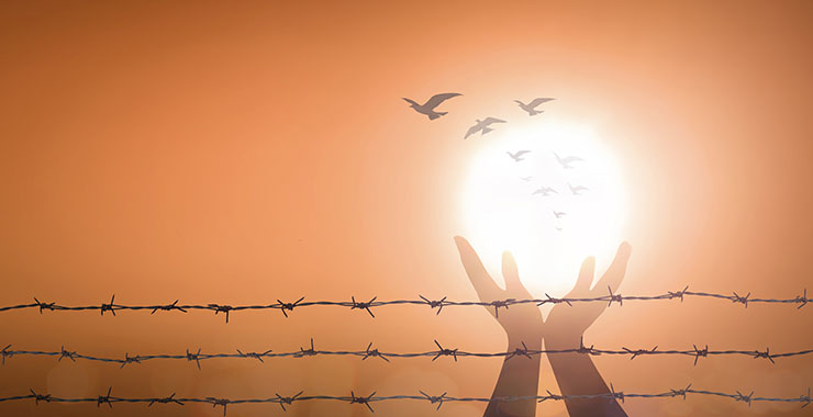 What relationship exists between intellectual norms, well-being, and the path to enlightenment and liberation?