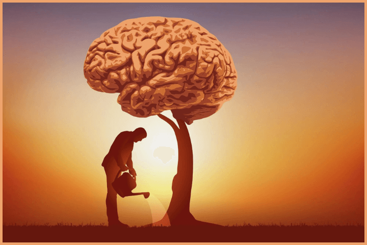 Wisdom and Spirituality
