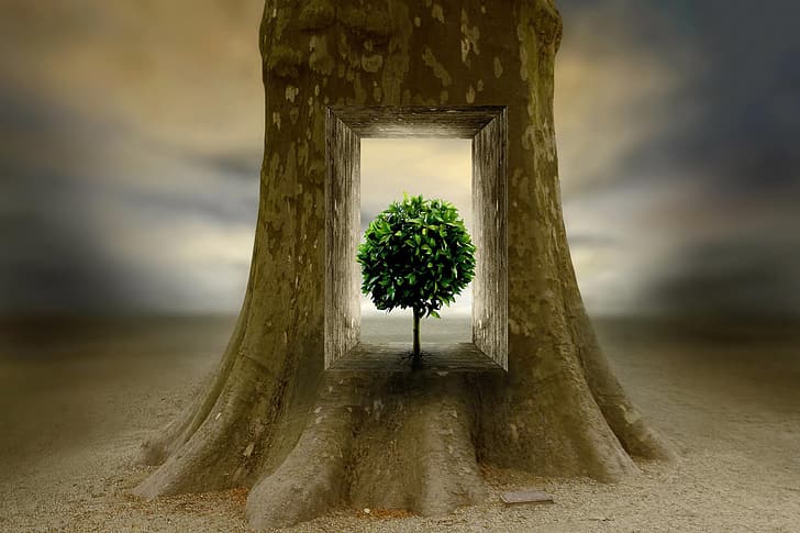 Can solitude unlock your inner world revealing its profound power?