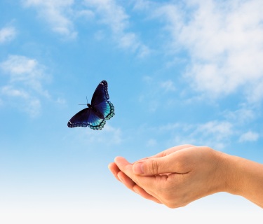How can one attain ultimate freedom within life's narrative?