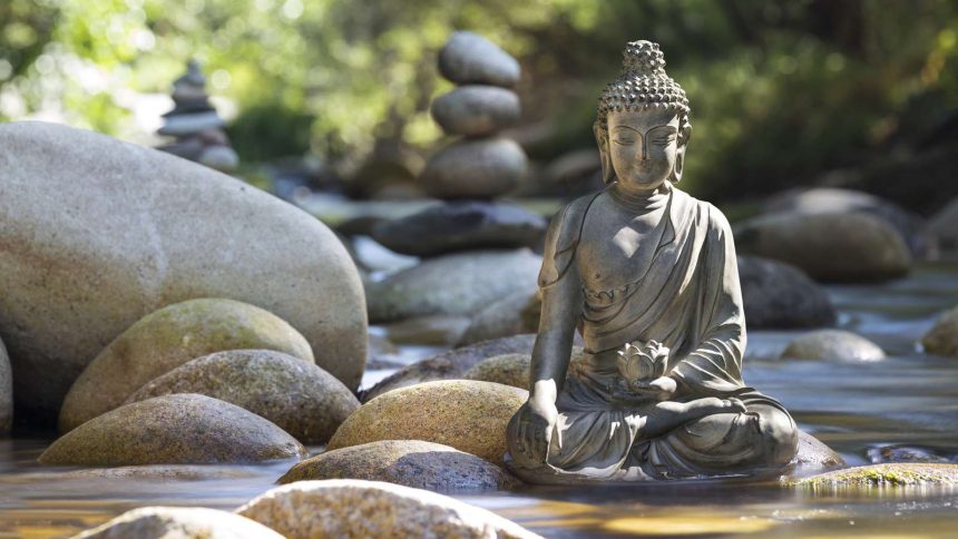 How does meditation lead to mental stability on a journey of practice and patience?