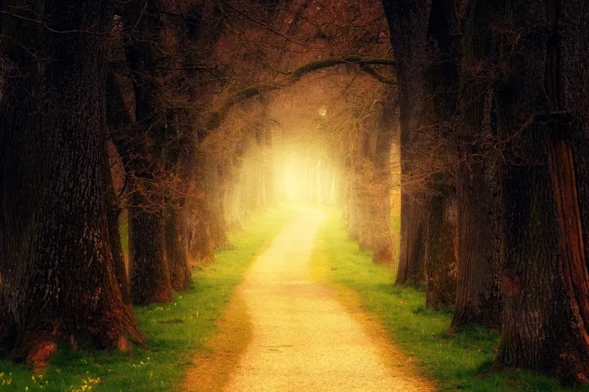 Can you summarize the path to divinity by embracing kindness and understanding?