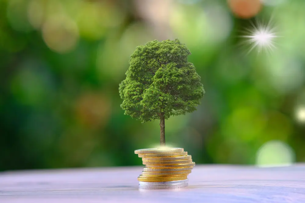 How can one embark on the ultimate path to genuine wealth?