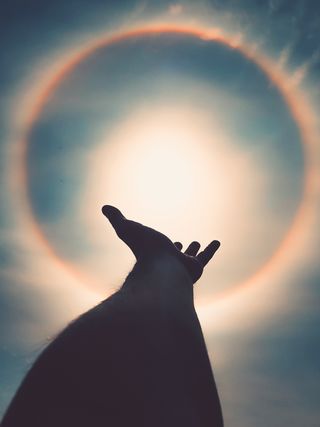 How does embracing spiritual wisdom lead to divine blessings?