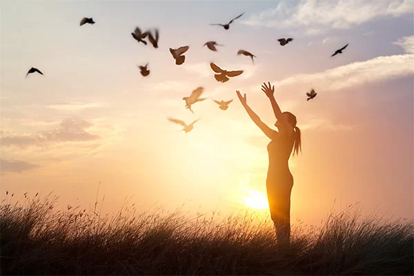 What unveils the path of human existence on the journey to divine realization?