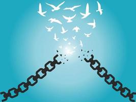 What's the secret to discovering true happiness by embracing freedom and fulfillment?