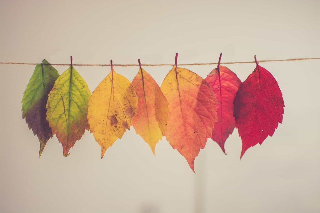 Can embracing impermanence lead to compassionate living?
