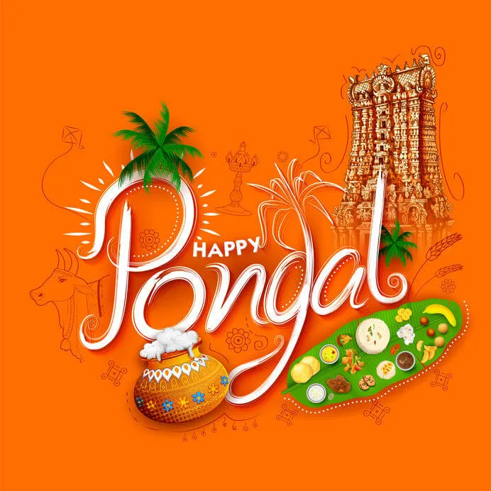 How can one celebrate Pongal as a spiritual journey of embracing divine light?