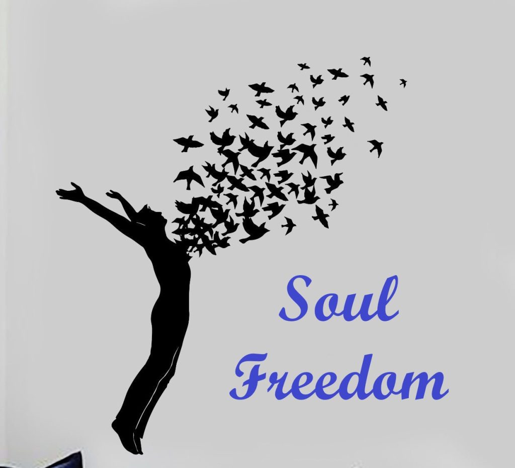 What's the core of grasping the Divine Plan for soul freedom and spiritual paths?