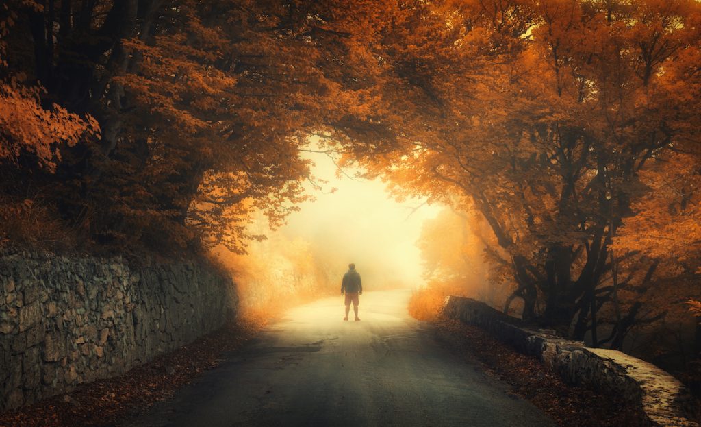 How does embracing the spiritual path lead to clarity in a world of illusion?