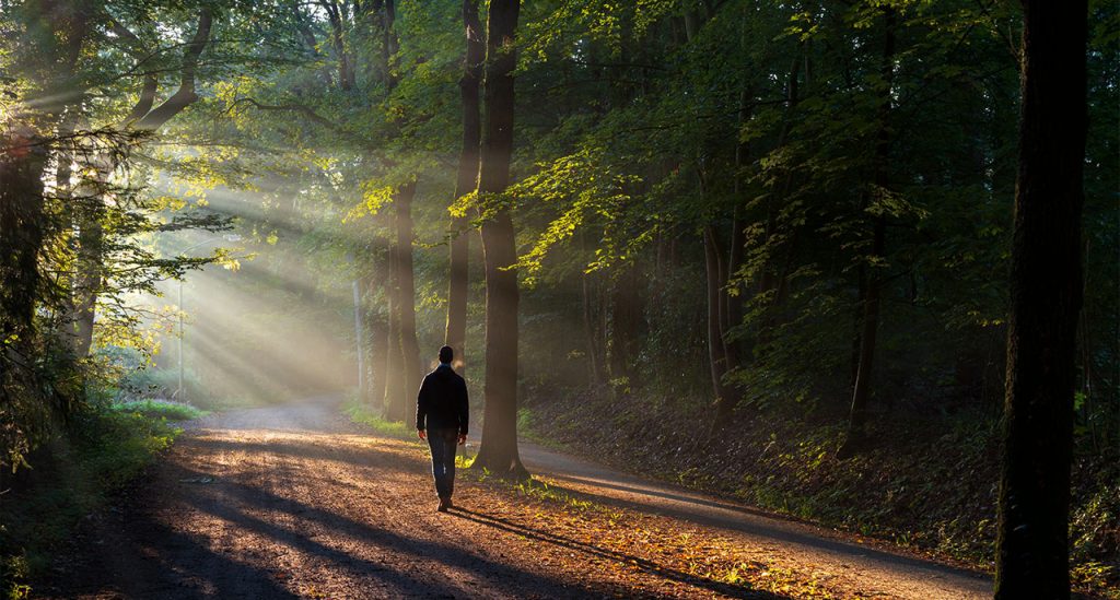 What is the path to liberation beyond the self?
