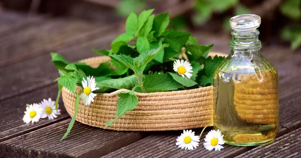 How does Sanjeevini unveil natural health revitalization?