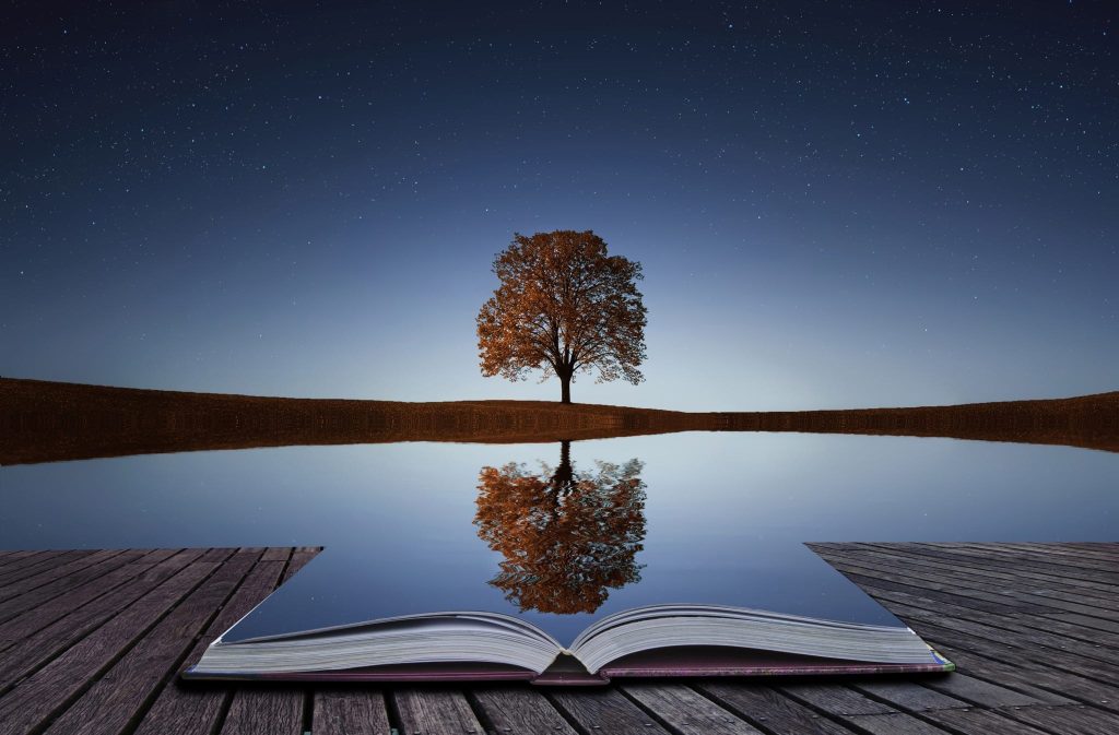 What is the Law of Reflection and how does it unlock the power of the universe?