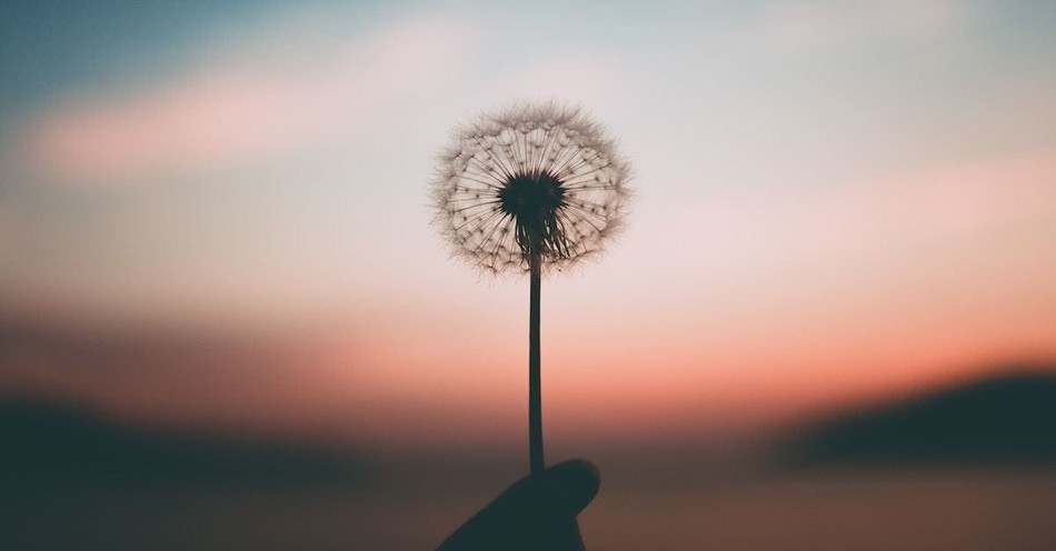 What mysteries does life unveil in the journey of soul and compassion?