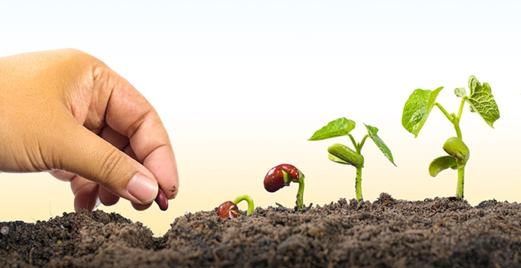 What role does the law of karma play in life's tapestry of sowing and reaping?