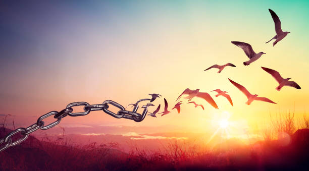 What's the Path to Liberation Through Contentment and Spiritual Practices?