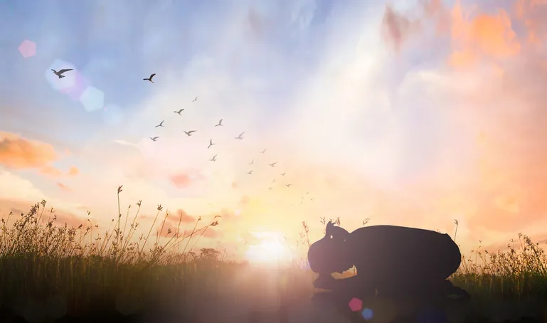 What's the Ultimate Key to Receiving from the Divine: Power of Surrender?
