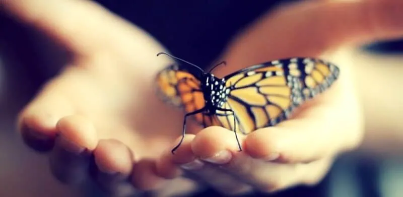 How can one embrace life's impermanence and confront the inevitable?