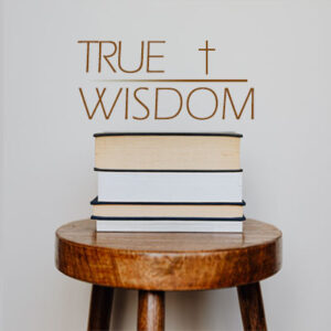 How does embracing humility lead to true wisdom?