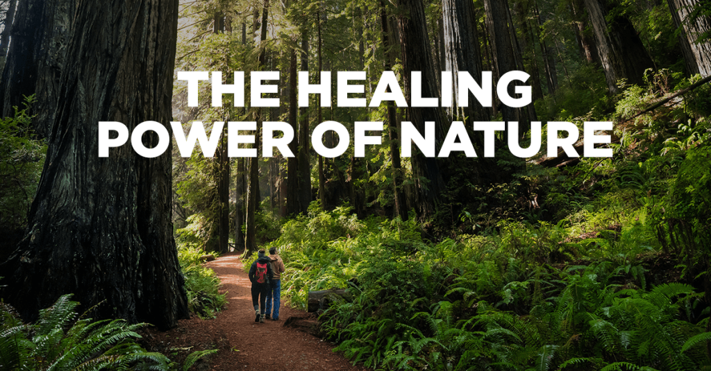 How does nature's healing power manifest?