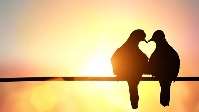 How to move on from unforgettable love?