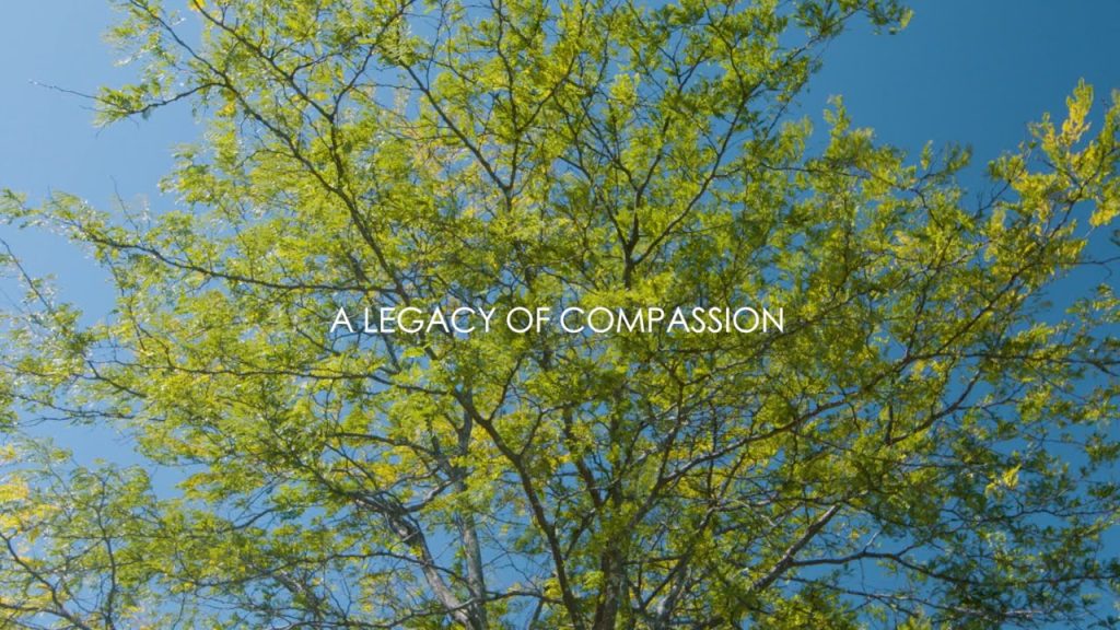 What's the Path of Dharma's Enduring Legacy of Compassion?
