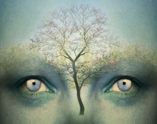 How to unleash the divine within for miracles and enlightenment?