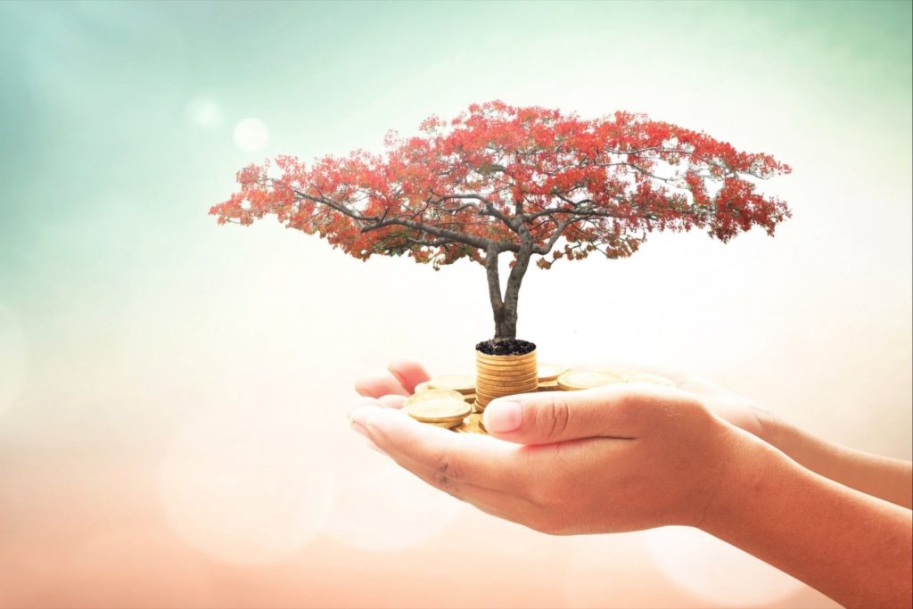 How does understanding desire lead to maturity?