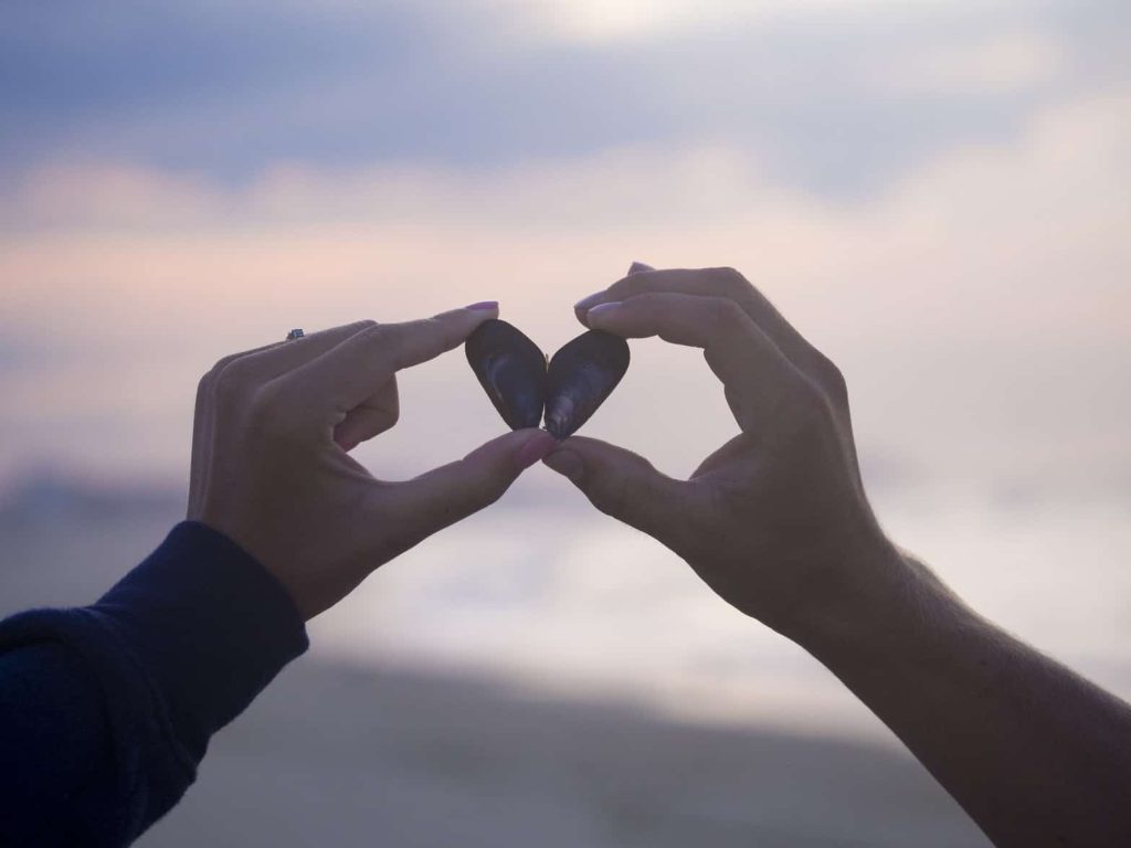 What are the dynamics of attraction and relationships?
