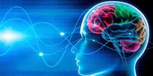 How Does Mind-Body Separation Lead to Wisdom?