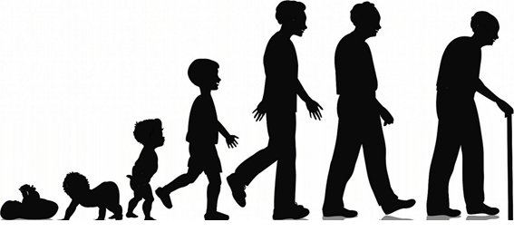 How Does the Cycle of Life Relate to Spiritual Liberation?