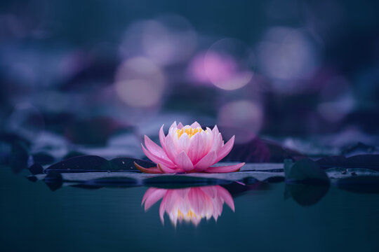 How Does the Wisdom of Giving Lead to Jeevanmukti?