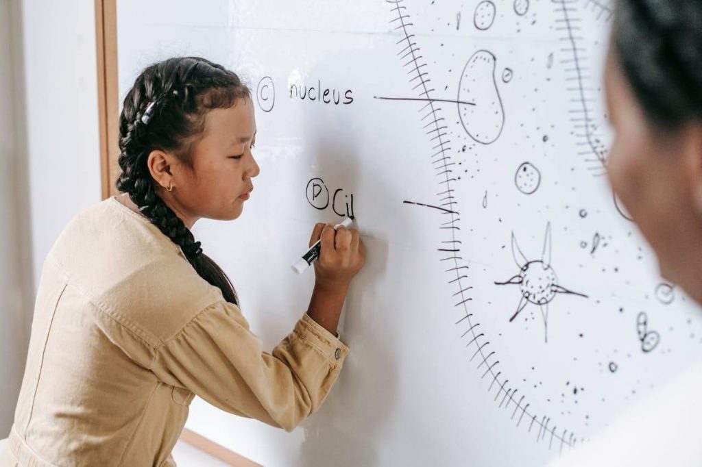 Work on your dreams to develop your intuition