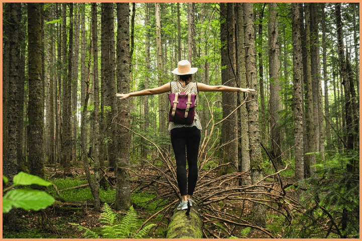 Disconnect from the digitalised world and connect with nature