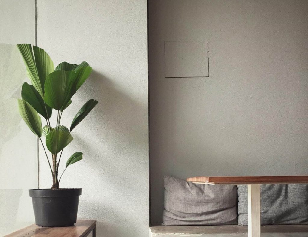 Bring Nature and Spirituality Indoors