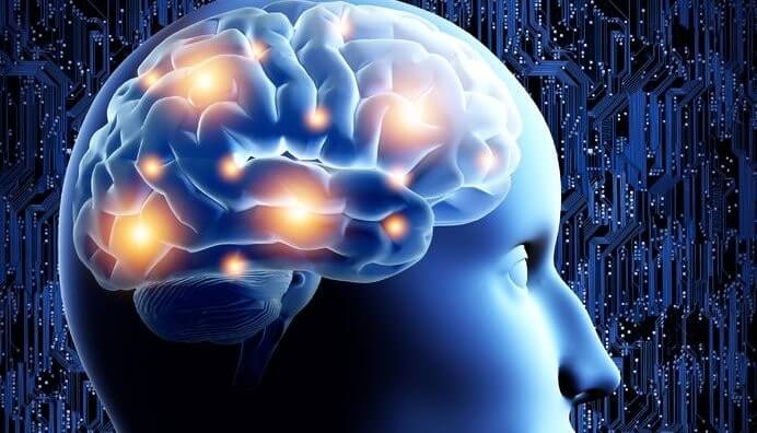 Meditation stimulates the growth in brain