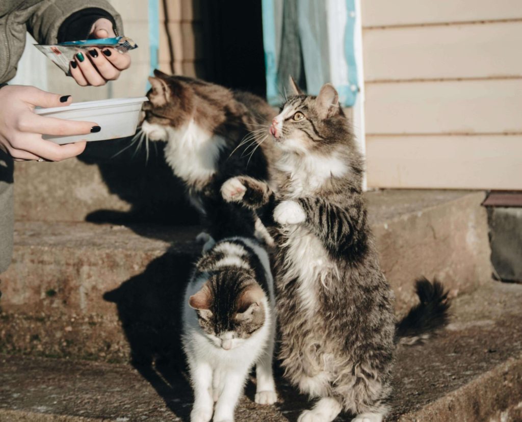 You can develop the quality of kindness