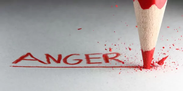 What Can We Learn About Anger?