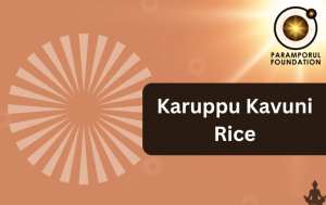 Benefits of Karuppu Kavuni Rice: A Superfood for Health and Wellness